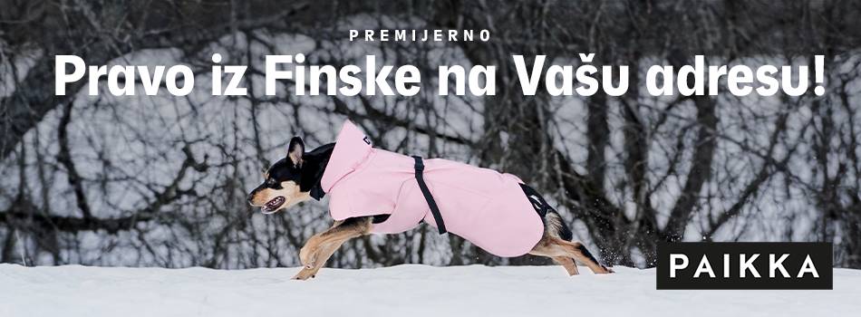 Paikka brend